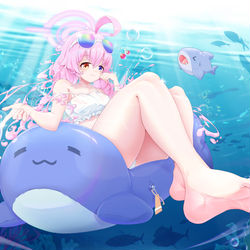 Takanashi Hoshino🐳
