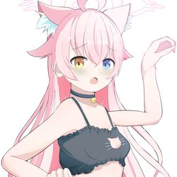 猫ランジェリーホシノ