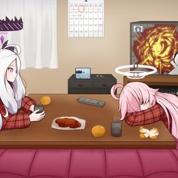 ホシヒナ年末年始