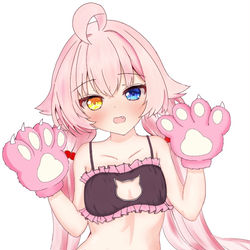 猫ホシノ
