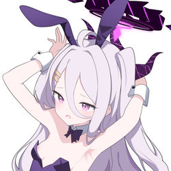 Sorasaki Hina Bunny Suit