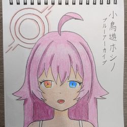 小鳥遊ホシノ