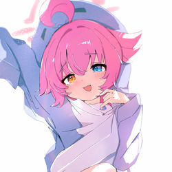 小鳥遊ホシノ(废作）