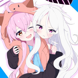 サクカ用ホシヒナ