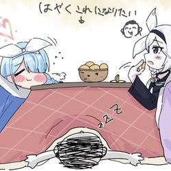 アロプラと一緒におこたでぬくぬくしたい