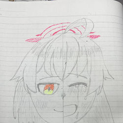 ホシノ誕生日記念