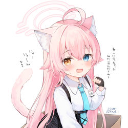 猫になったホシノ