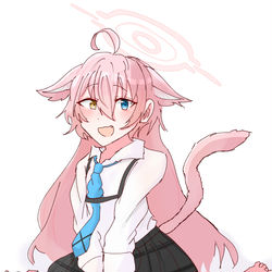 猫ホシノちゃん