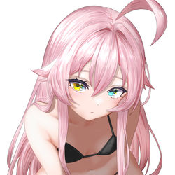 小鳥遊ホシノ