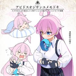 アビドスオジサンユメモドキの調査結果