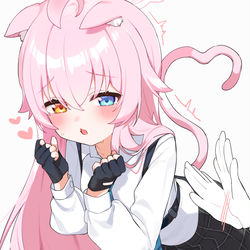 猫ホシノ