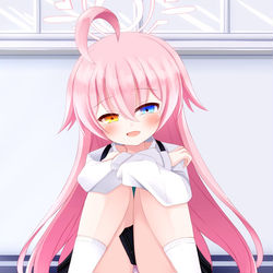 小鳥遊ホシノ
