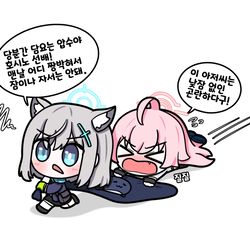담요 압수