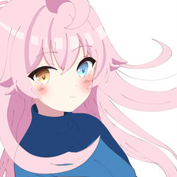 小鳥遊ホシノ