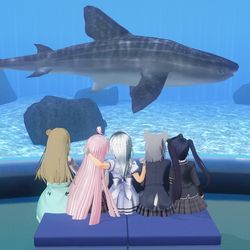 带星野酱去看水族馆～
