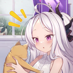 🐱