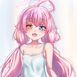 小鳥遊 ホシノ
