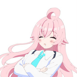 小鳥遊ホシノ