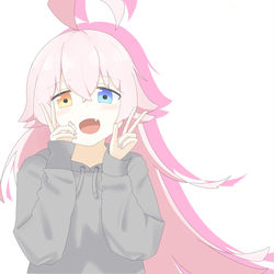 小鳥遊ホシノ
