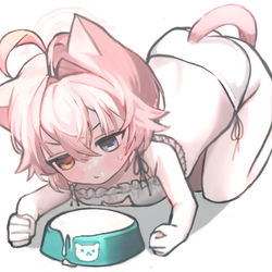 猫の日