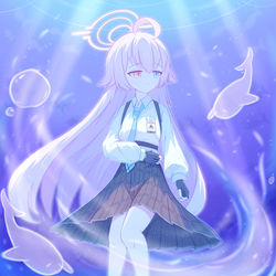 【小鳥遊ホシノ】