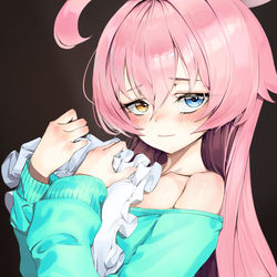 小鳥遊ホシノ