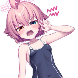 240228