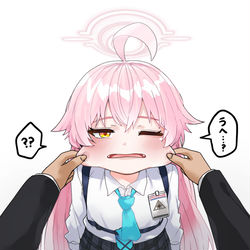 小鳥遊ホシノ