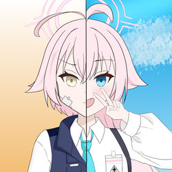 小鳥遊ホシノ