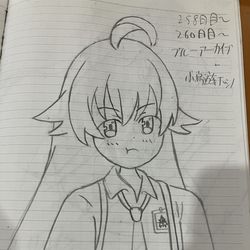 258日目から260日目 ブルーアーカイブ 小鳥遊ホシノ  没！