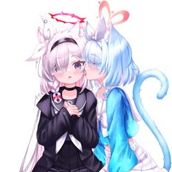 アロプラ🐱