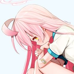 小鳥遊 ホシノ
