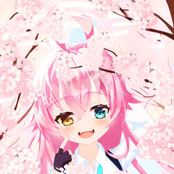 花よりホシノ