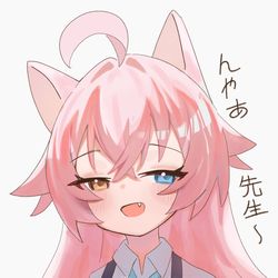 nyaa