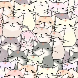 ホシノ先輩わどこ？