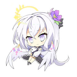 梓