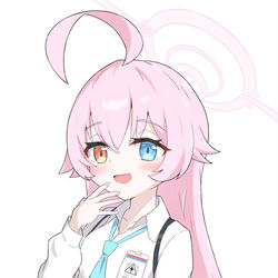 小鳥遊ホシノ