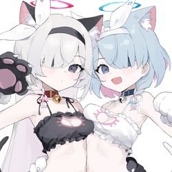 アロプラ