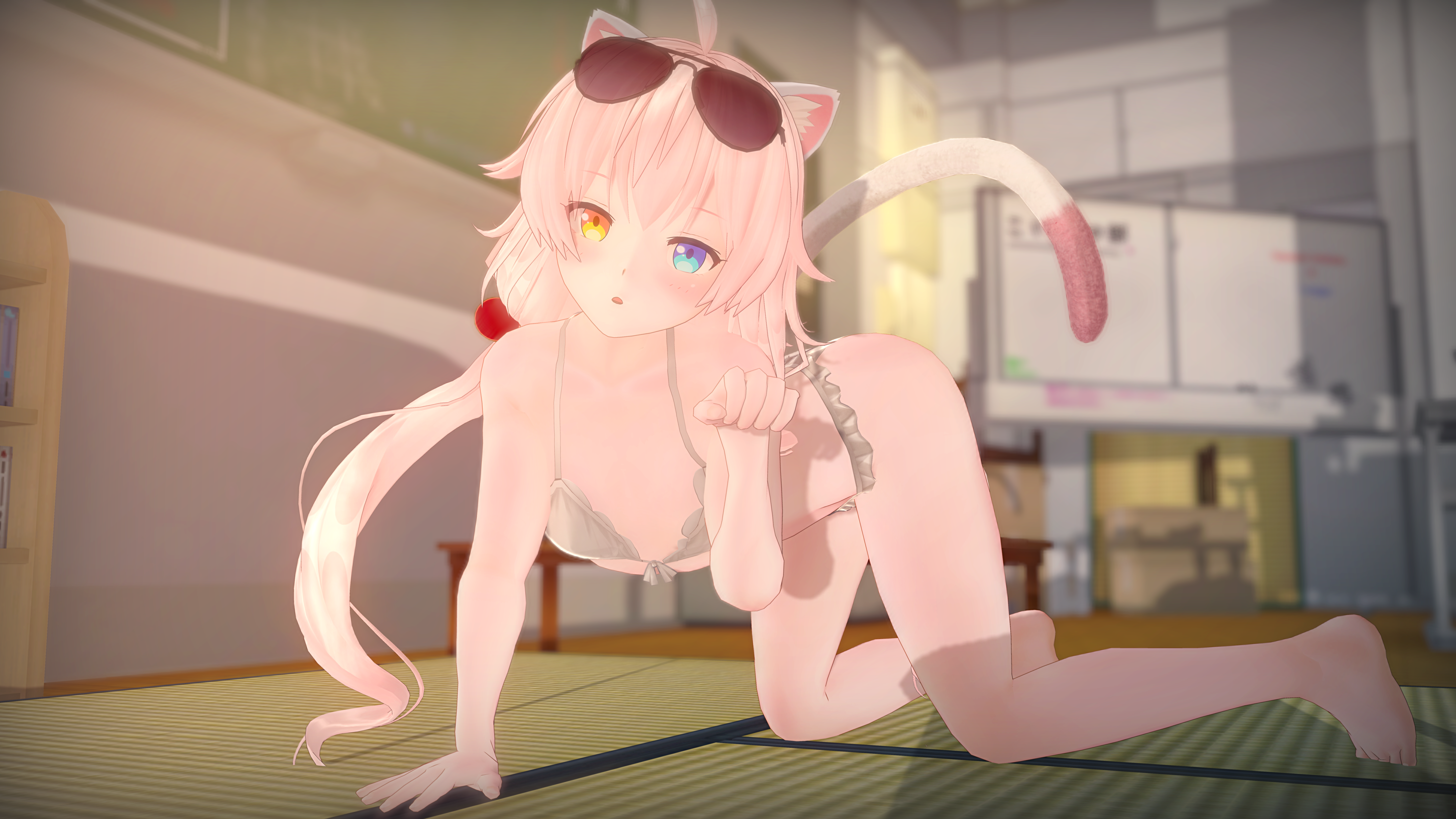 小鳥遊ホシノ