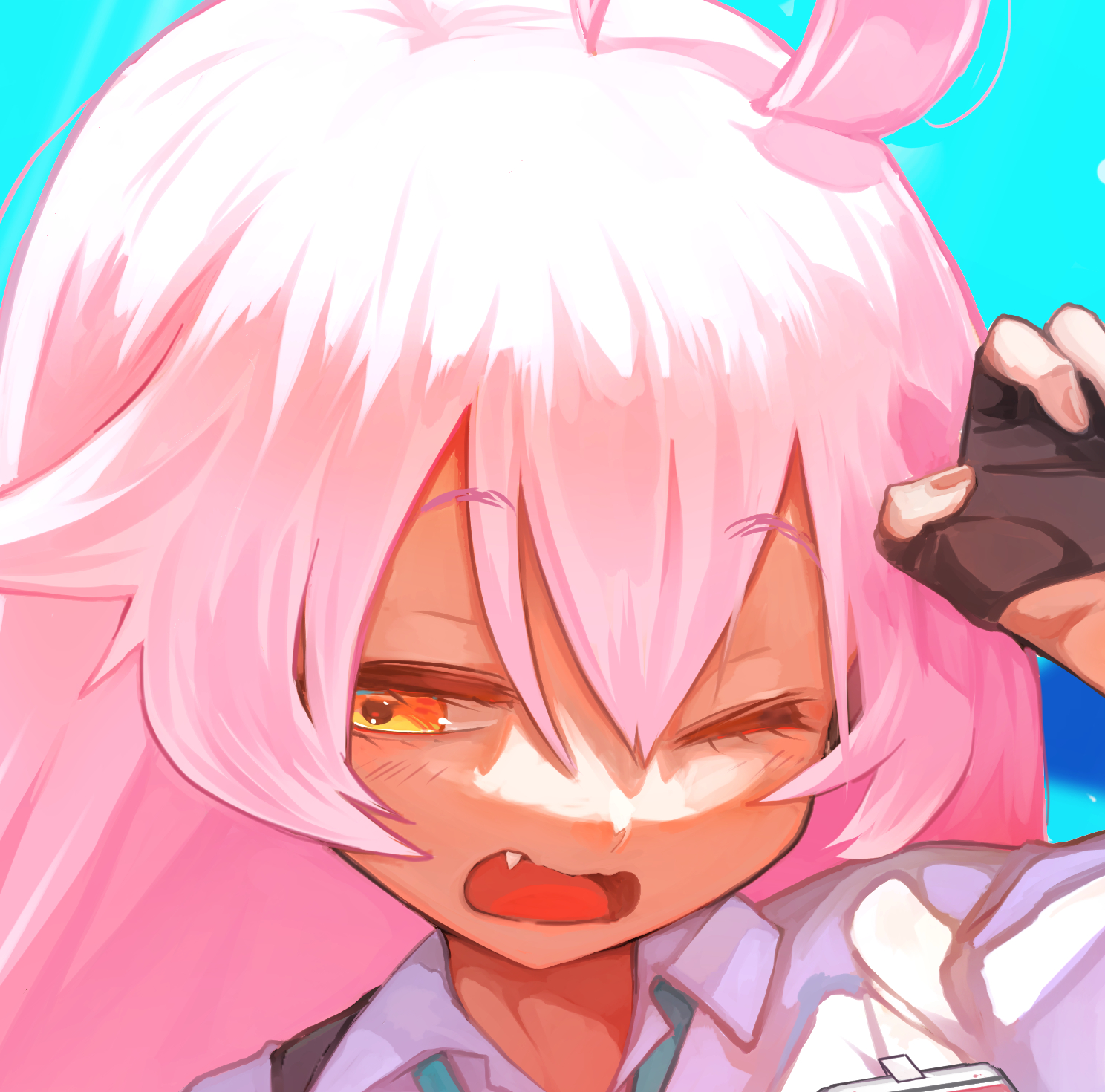 小鳥遊 ホシノ