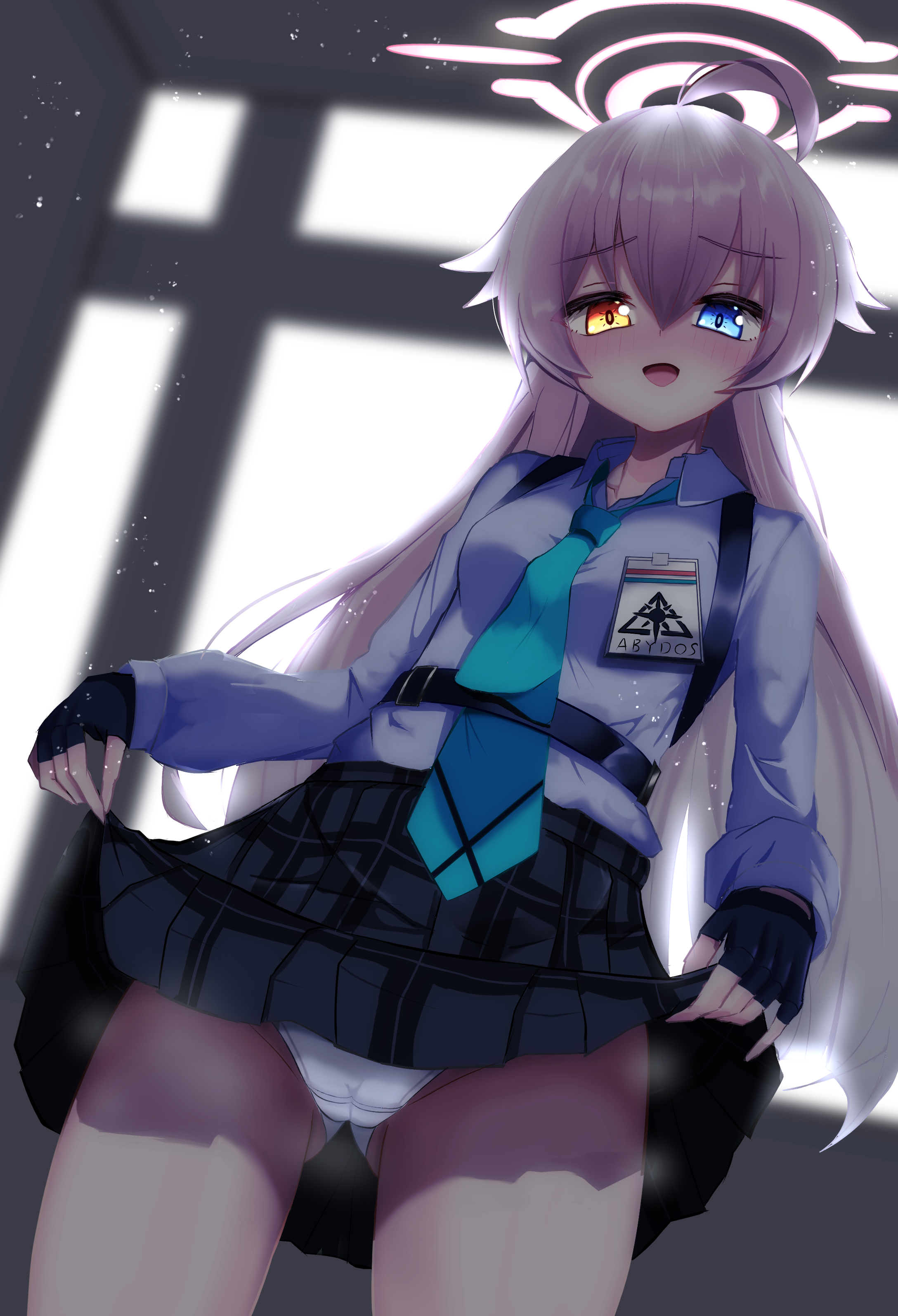 小鳥遊ホシノ