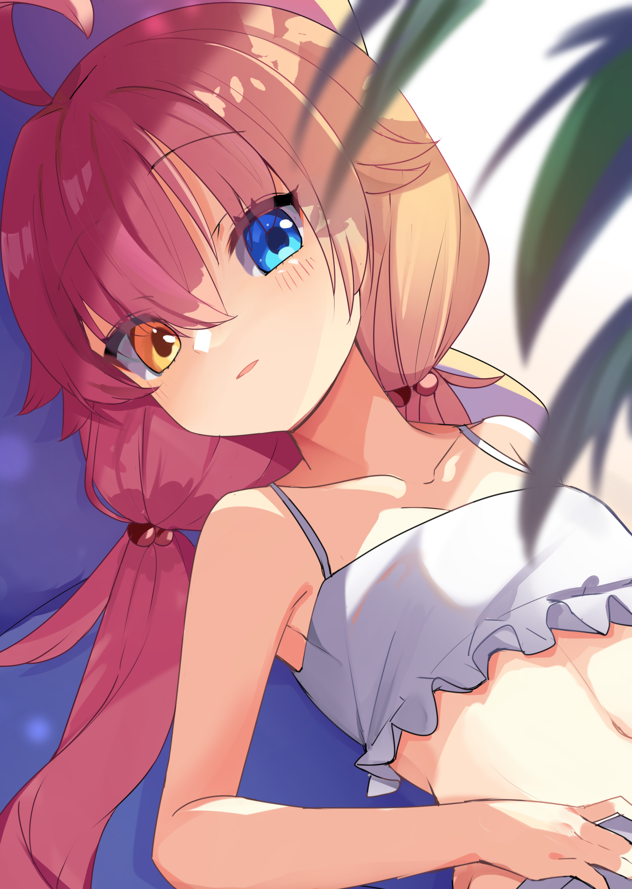 海辺のハロエリス