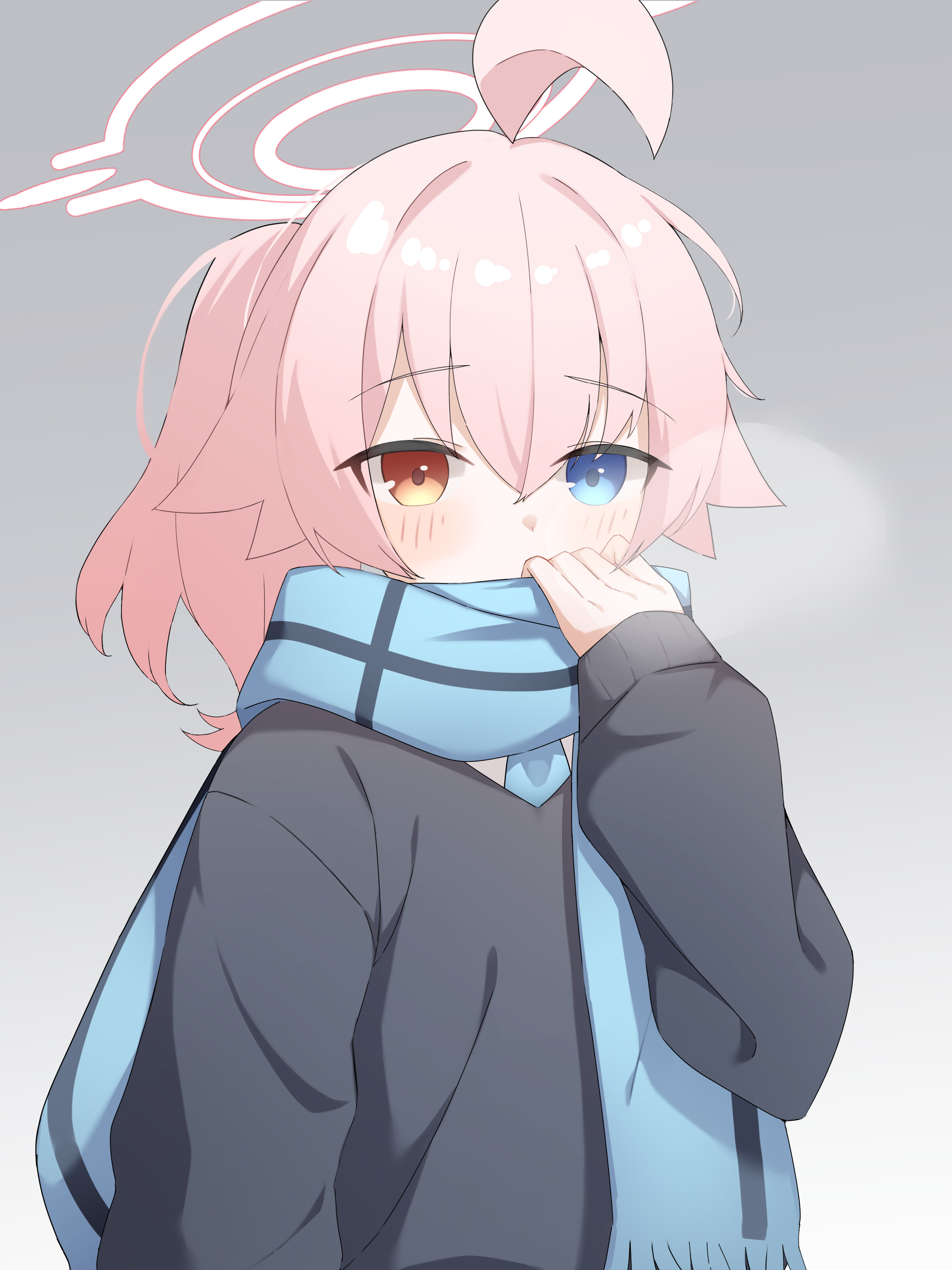 小鳥遊ホシノ