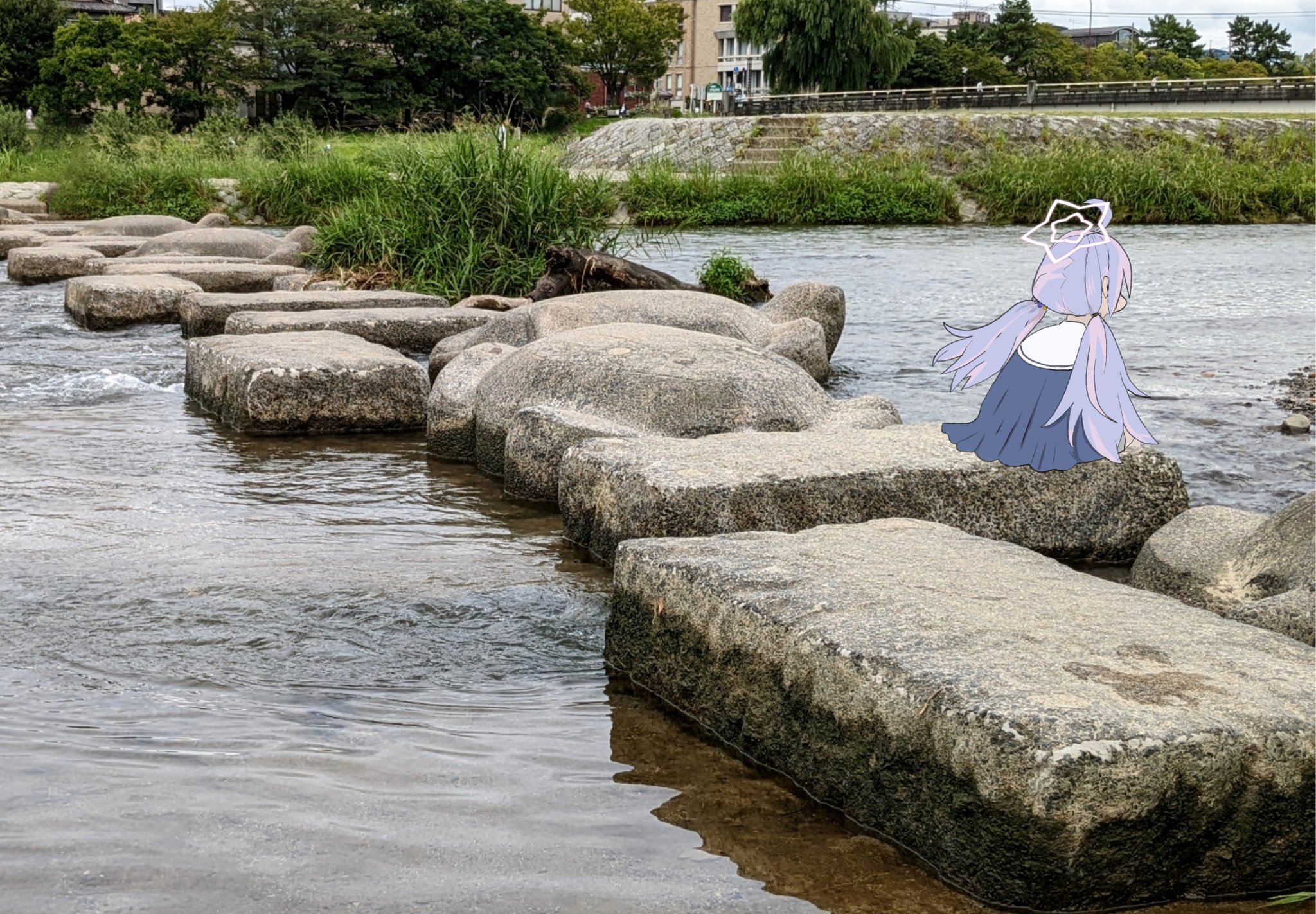 宇沢と鴨川