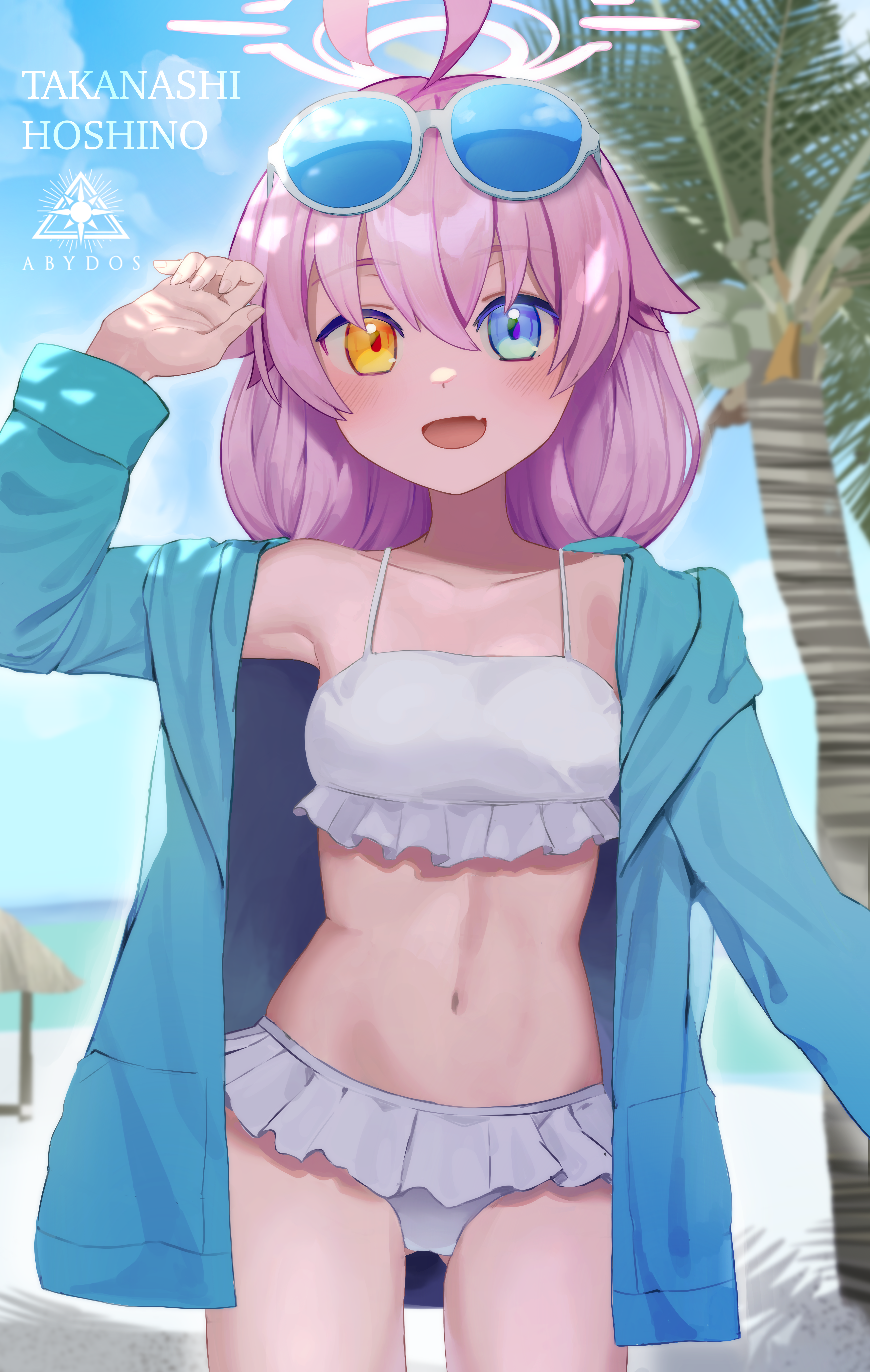 小鳥遊ホシノ