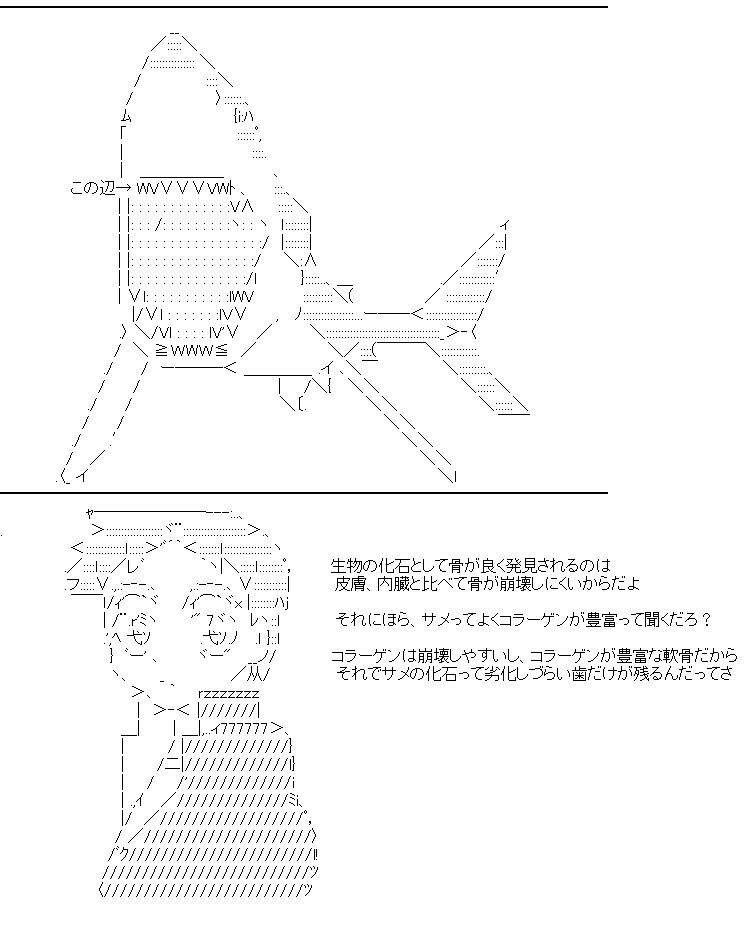 キミと海と