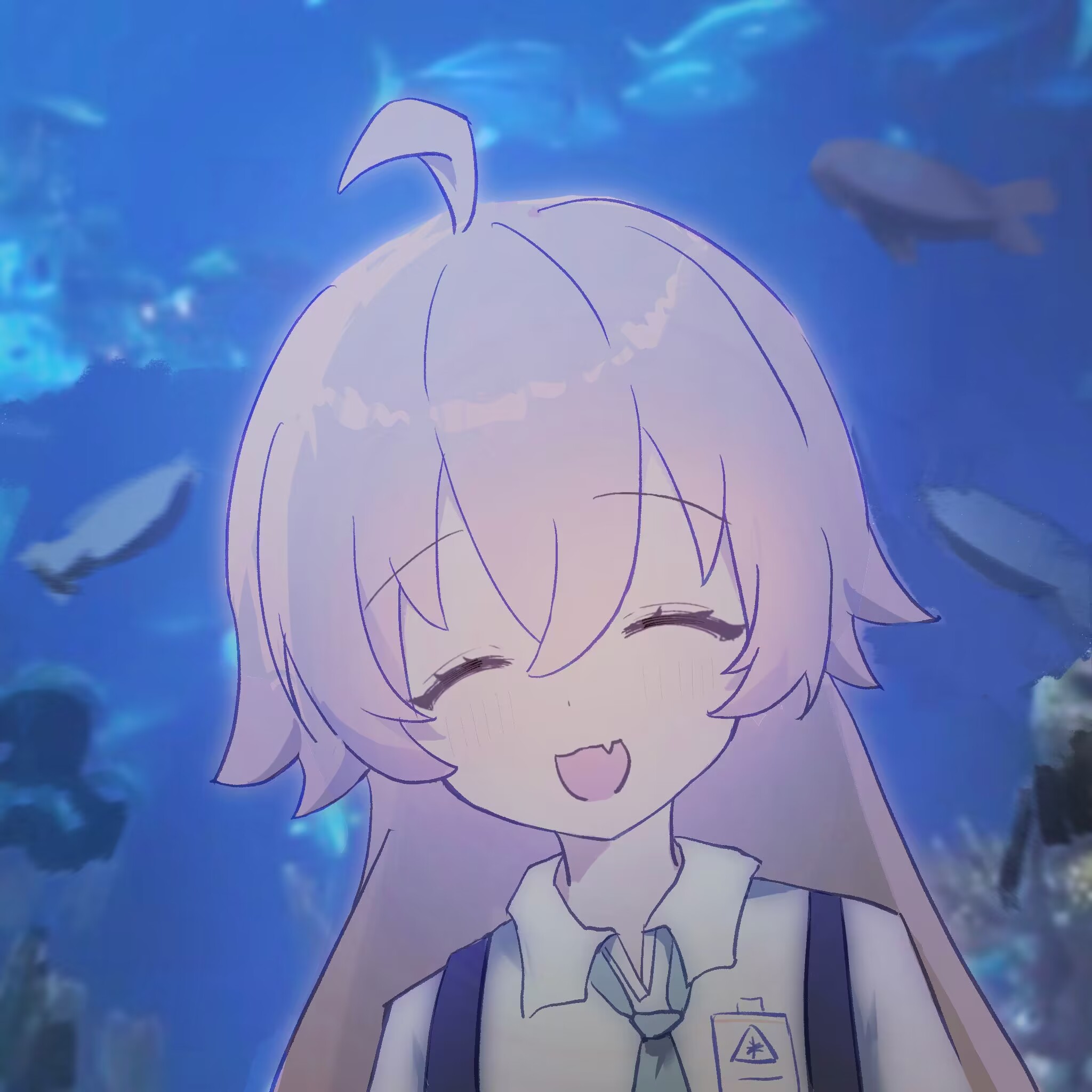 kawa