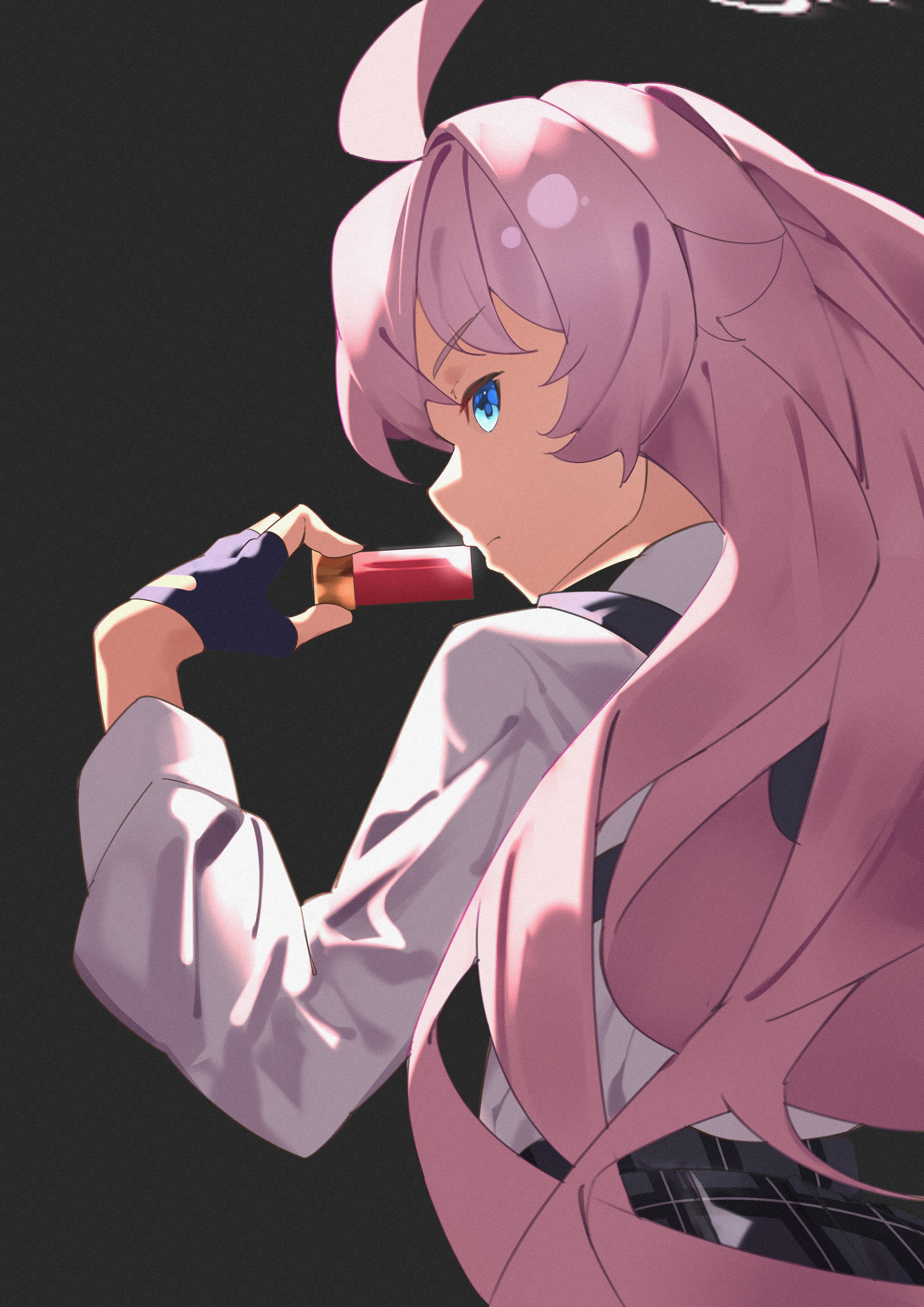 小鳥遊ホシノ