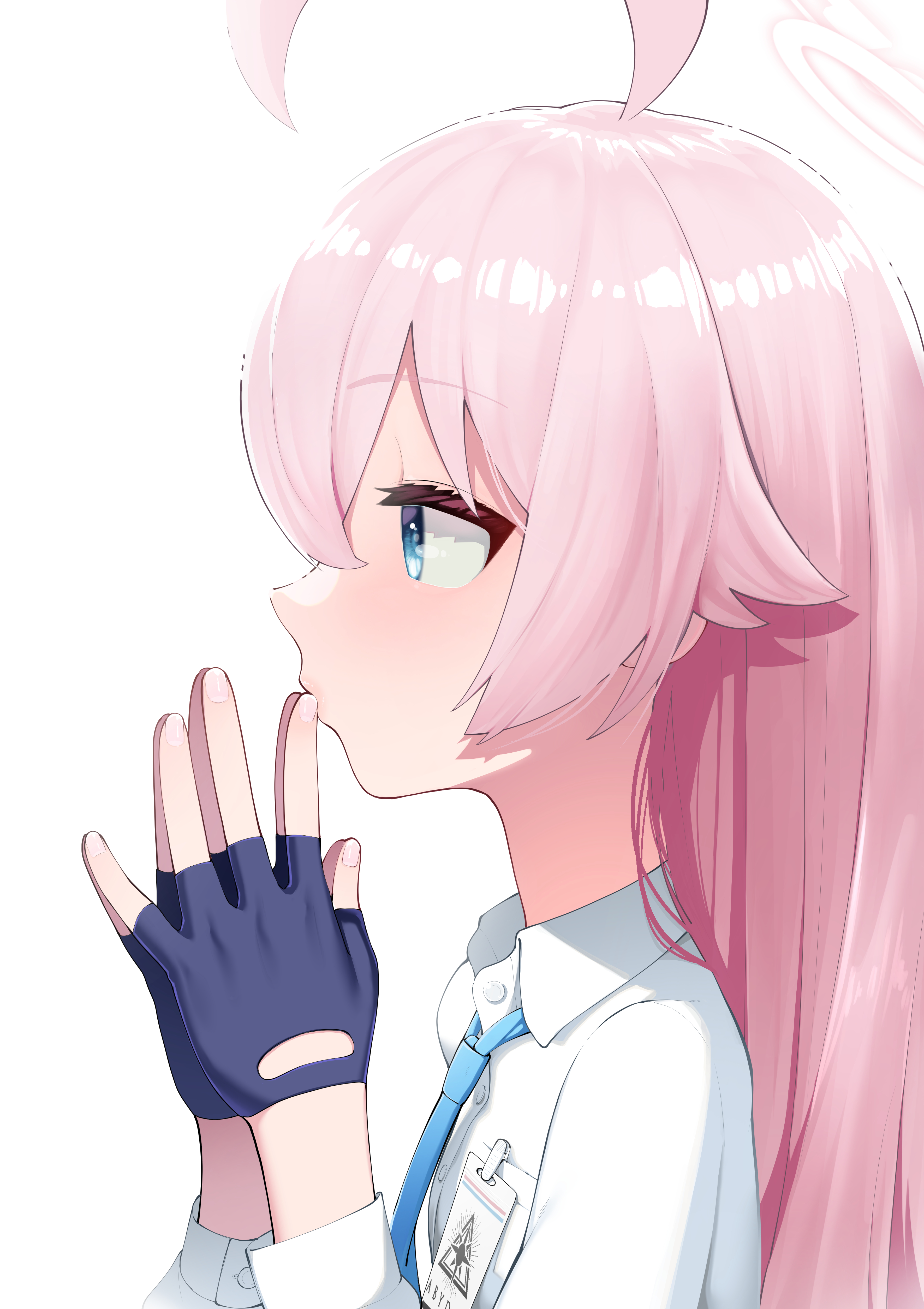 小鳥遊ホシノ