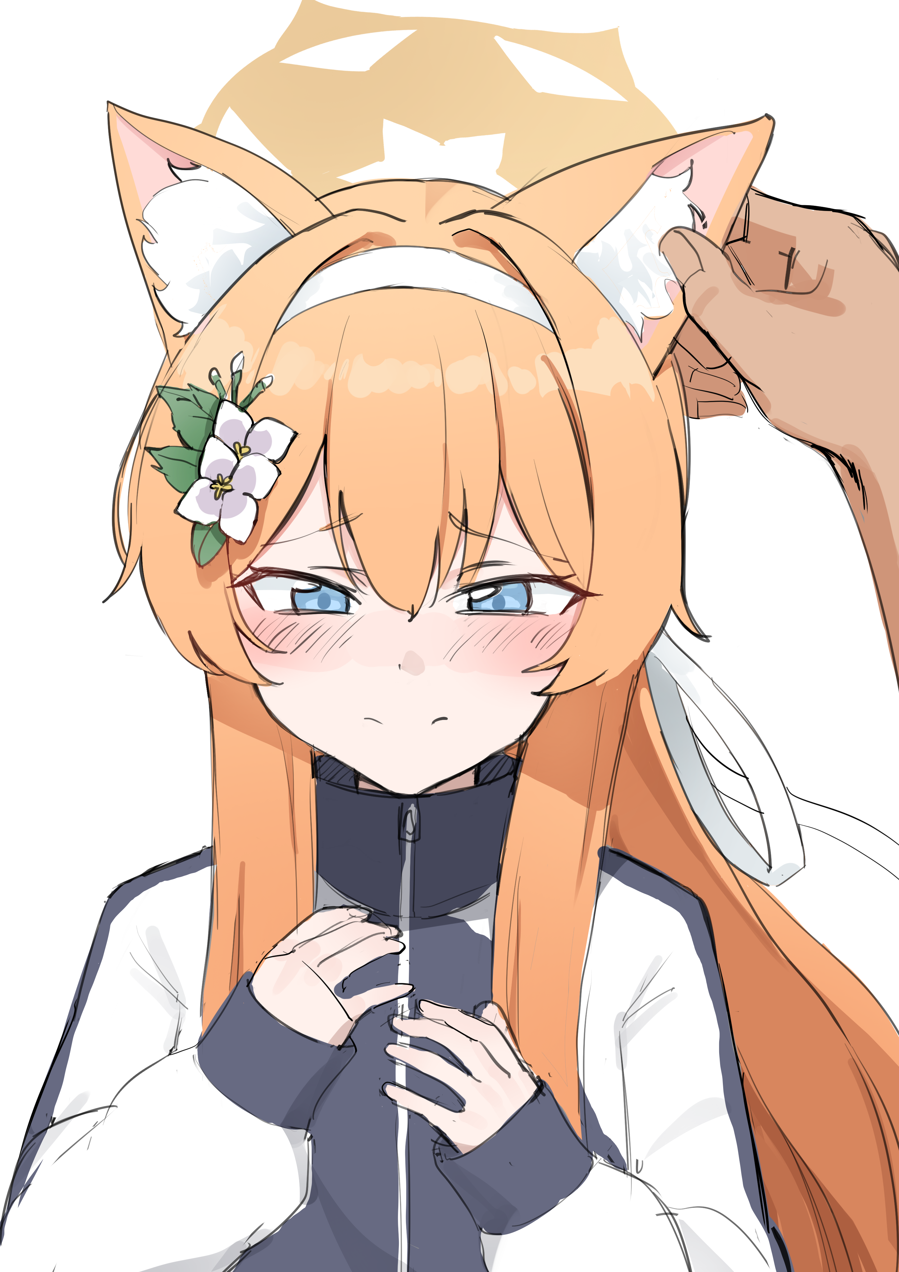 블루아카이브